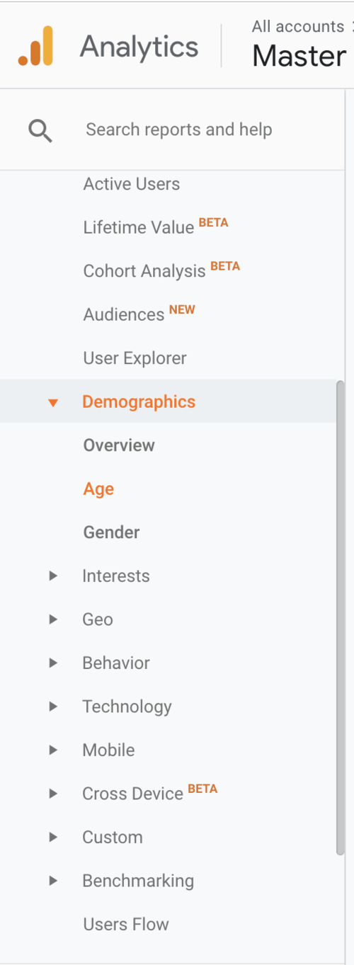  Google Analytics Demographics 